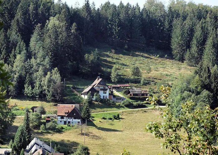 Tillisch By Interhome Apartment Sasbachwalden